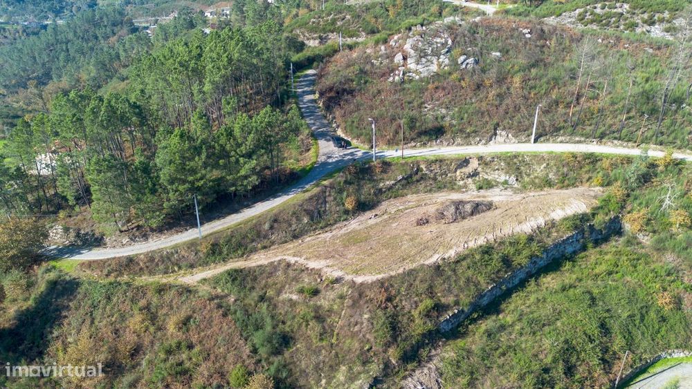 Terreno  Venda em Gondar,Amarante