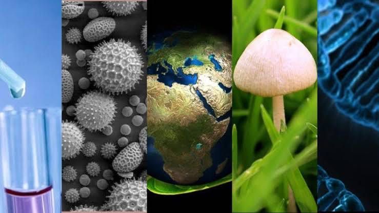 Explicações Biologia e Geologia