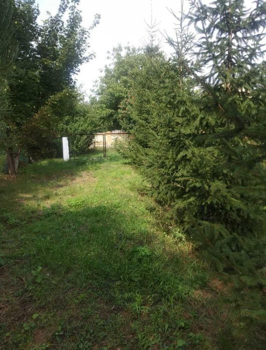 Земельна ділянка с.Степанівка