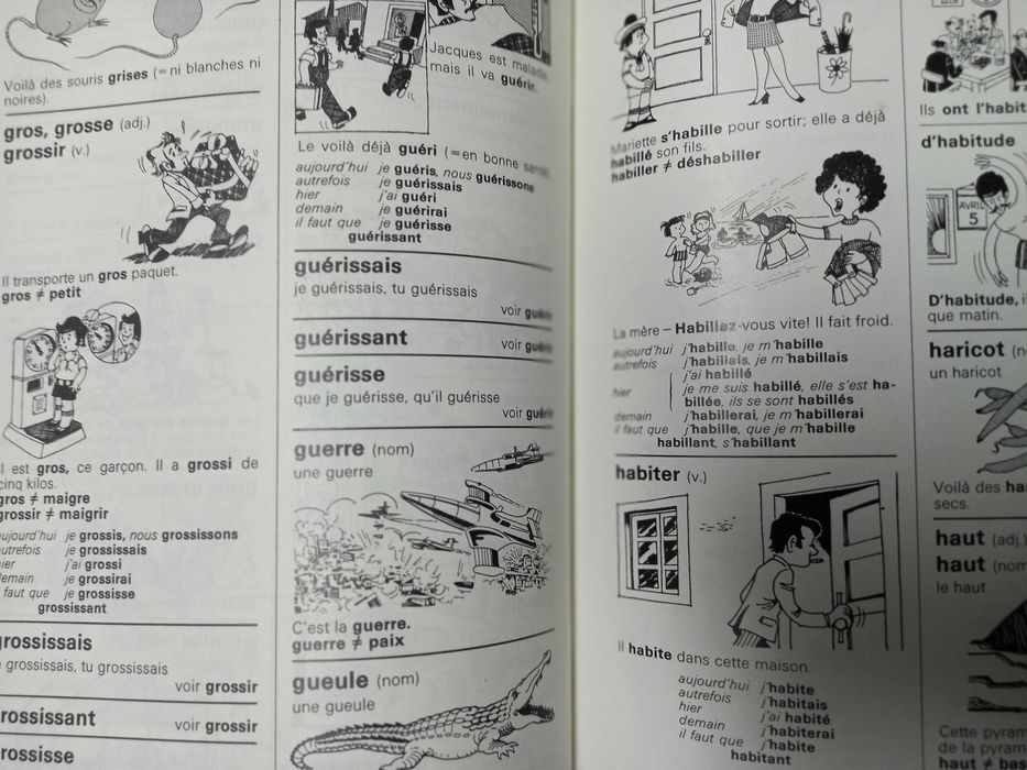 Livro: Mon Dictionnaire en images - Ed. Platano