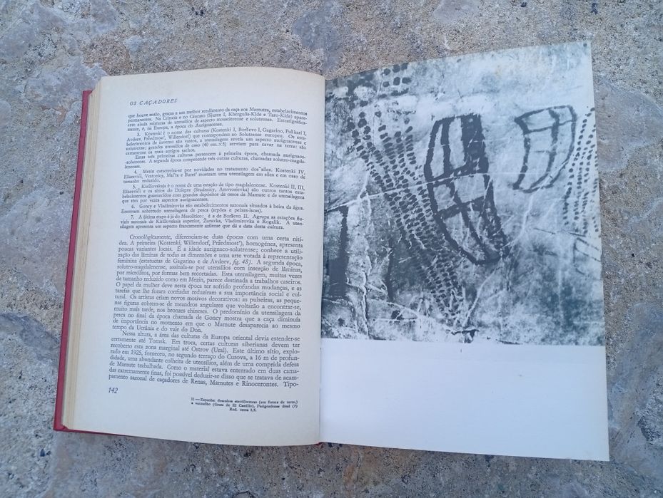 Livro "O Homem antes da Escrita"