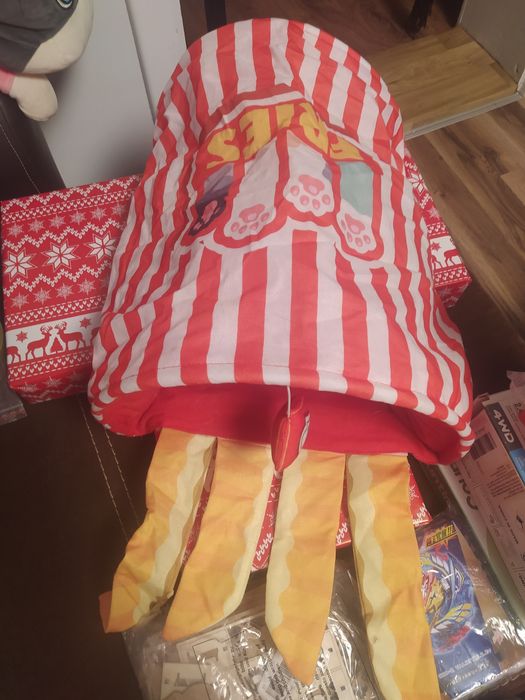 Szeleszczący tunel dla kota