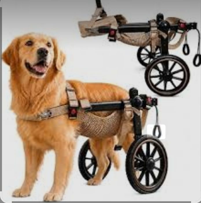 Cadeira de rodas para cães de porte grande, XL