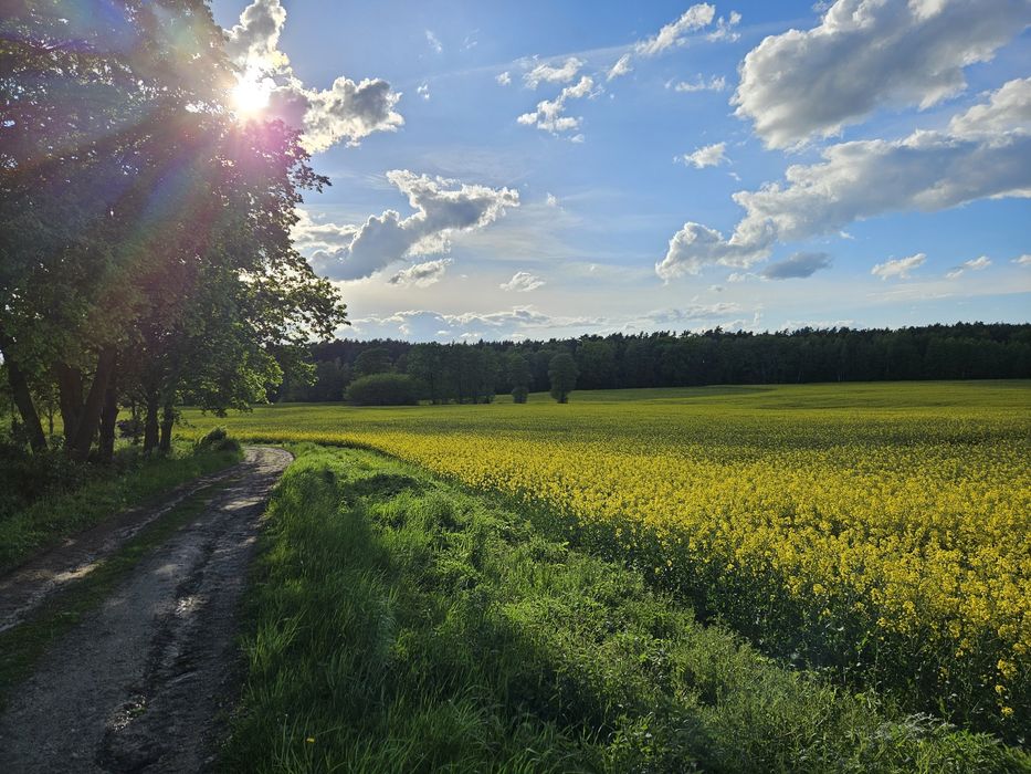 Działki budowlane Trzebicko