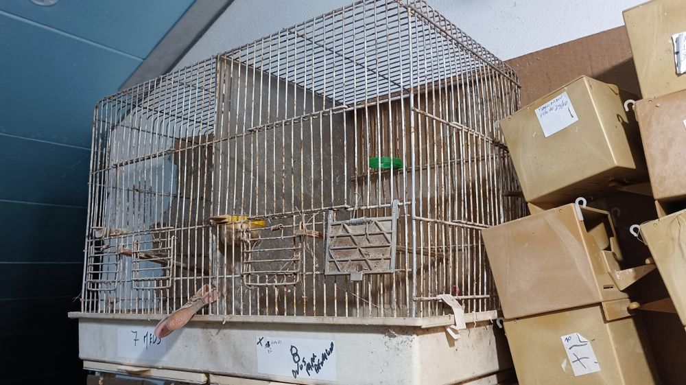 Gaiolas para aves e ninhos gr2