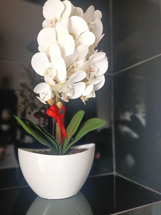 Storczyk biały kwiat