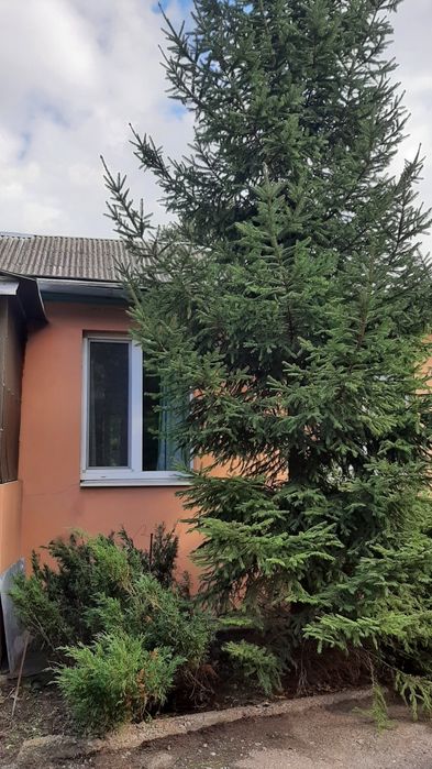 Продаж капітального будинку у центрі м. Мерефа