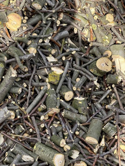 Обрізка дерев обрізання зрізка спил аварійних дерев, Буськ