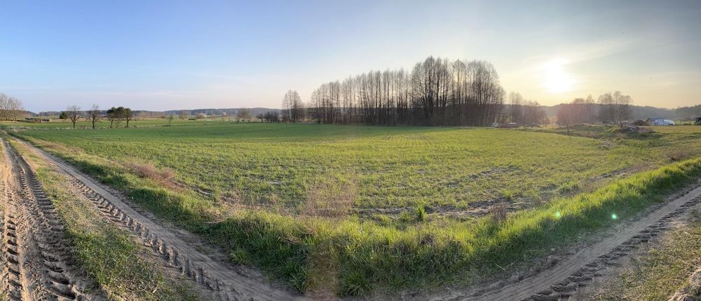 Działka  Pszczew 3000m2