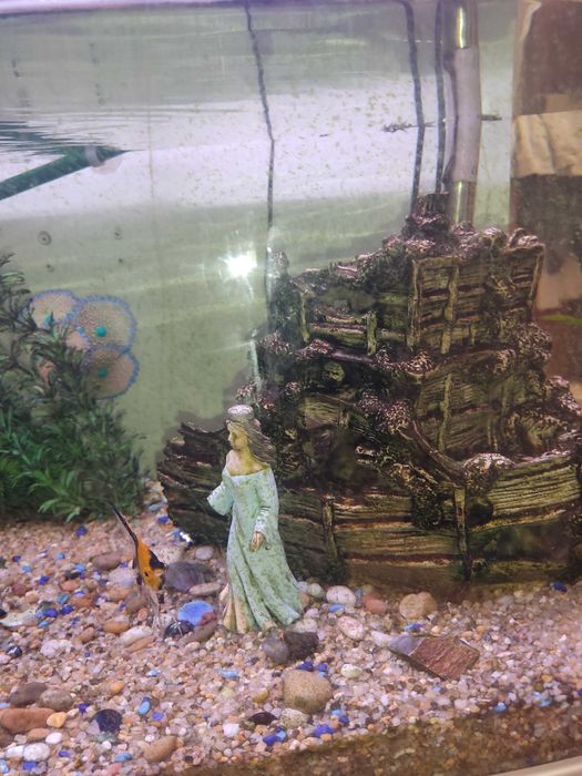 Aquário com móvel 350litros