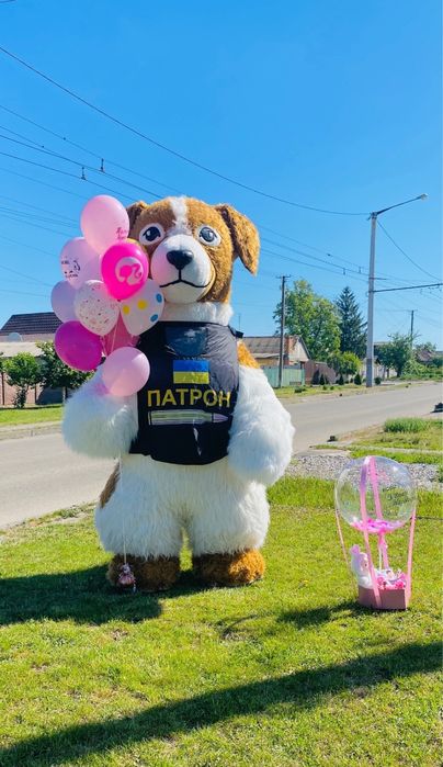 Пес Патрон, Аніматор