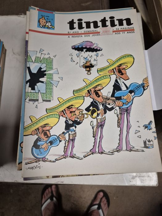 52 Revistas Tintim,  1°Ano