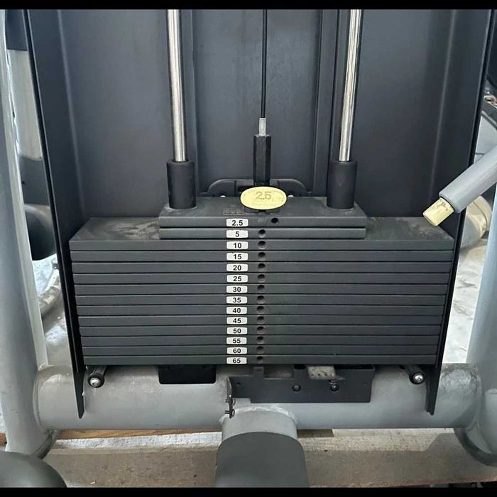 Maszyna do ćwiczeń mięśni grzbietu Lower Back Technogym Selection