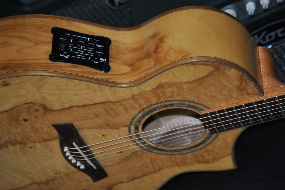 Ibanez EW35ABE Exotic Wood (Como nova)