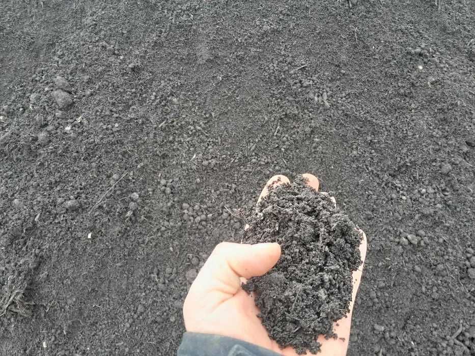 Ziemia ogrodowa kompostowa Warzywniak Nasadzenia Trawa Kompost