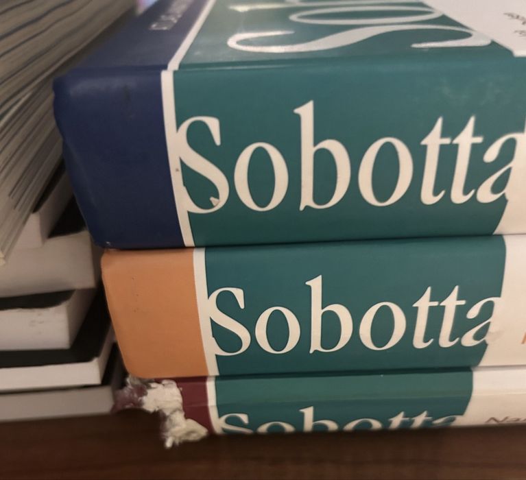 Sobotta Atlas Anatomii Człowieka komplet 3 tomy wyd. 24 Edra medycyna