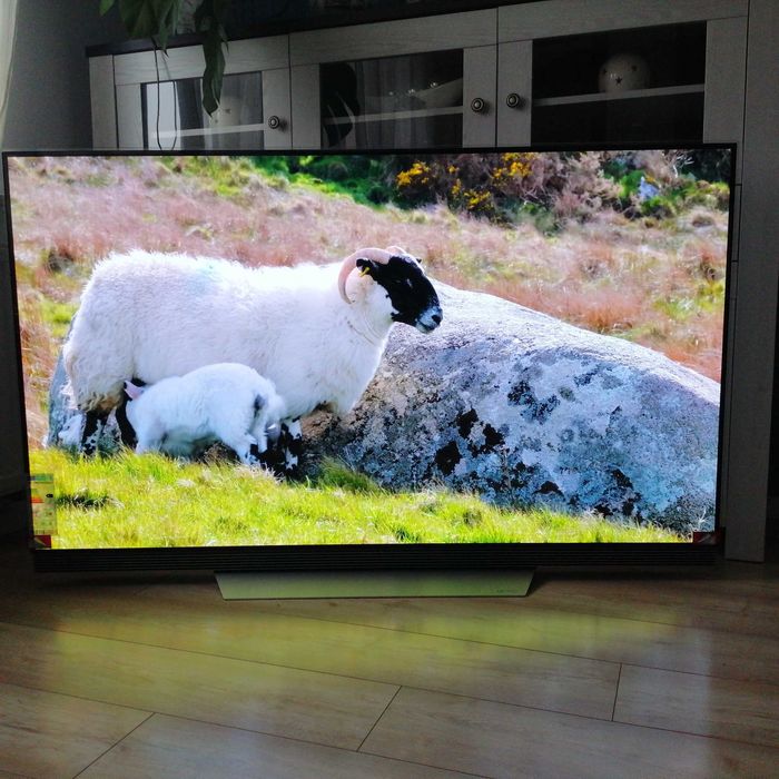 LG OLED 65E7V pilot