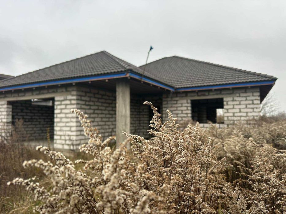 Будинок, де виростуть щасливі діти — в самому центрі Димера!