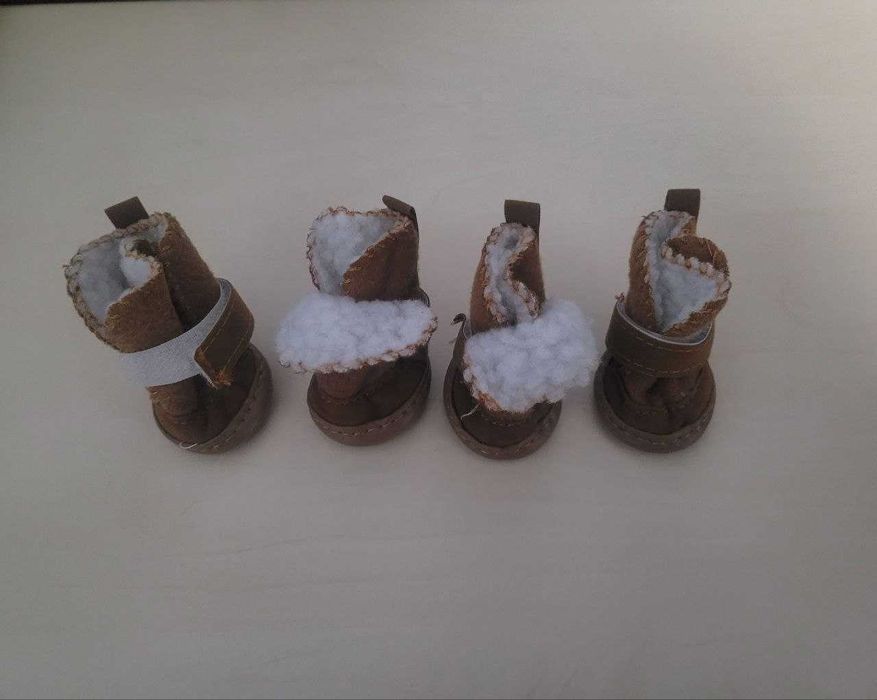 обувь для маленьких собак