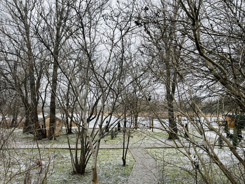 Продам Участок в Обуховке река лес пляж