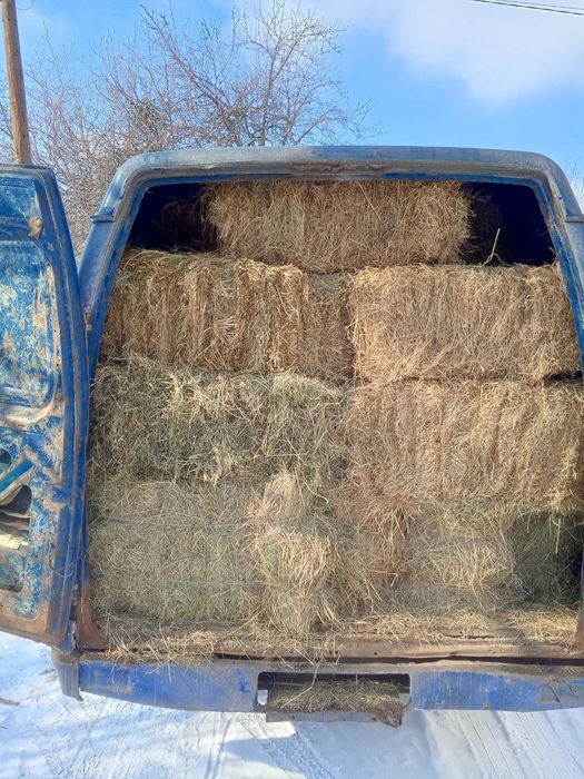 Сіно природних трав