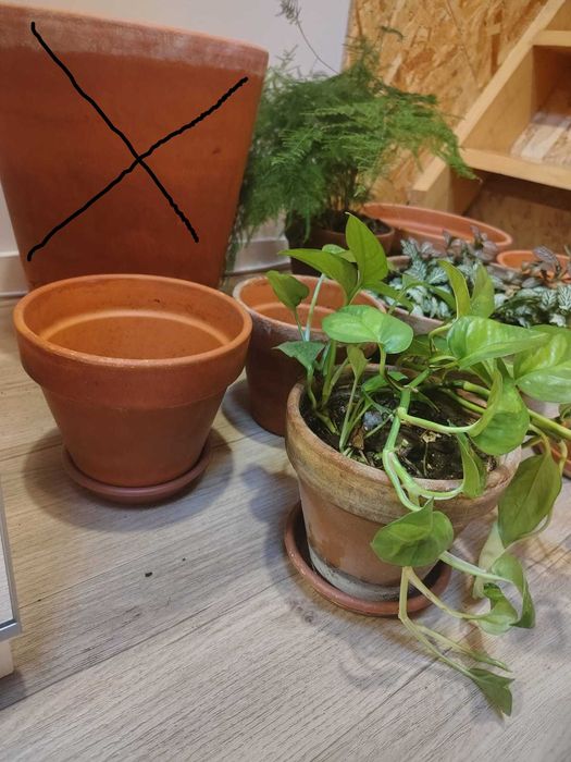 Vasos de barro com pratos para jardinagem