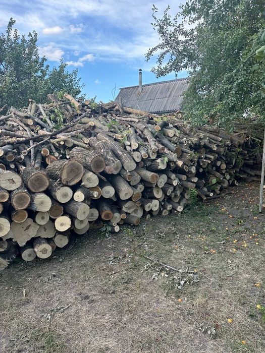 Дрова мікс акація, клен, берест, фруктові + Документи