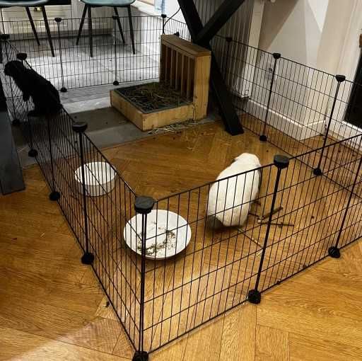 Klatka dla gryzoni królików świnki morskiej psa kota NOWA modułowa