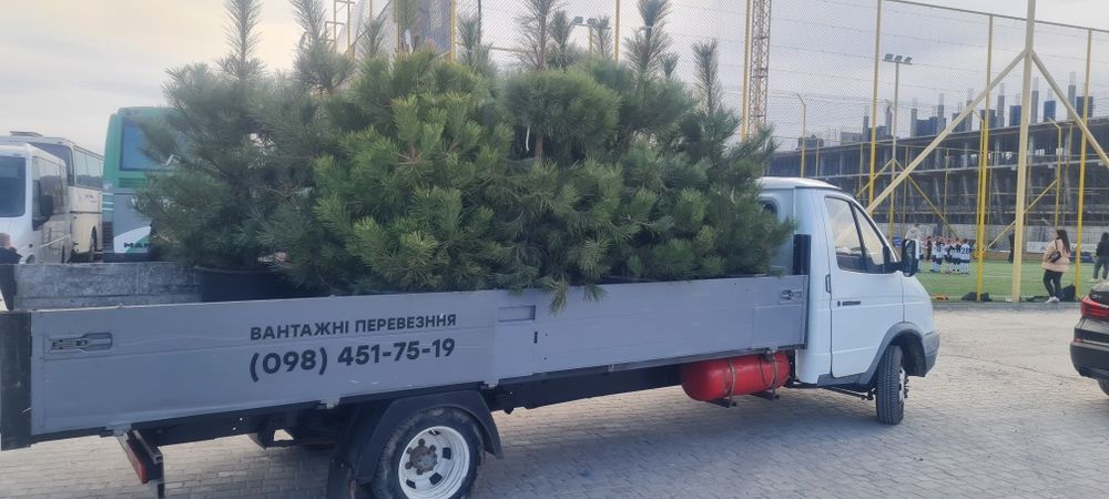 Вантажні перевезення