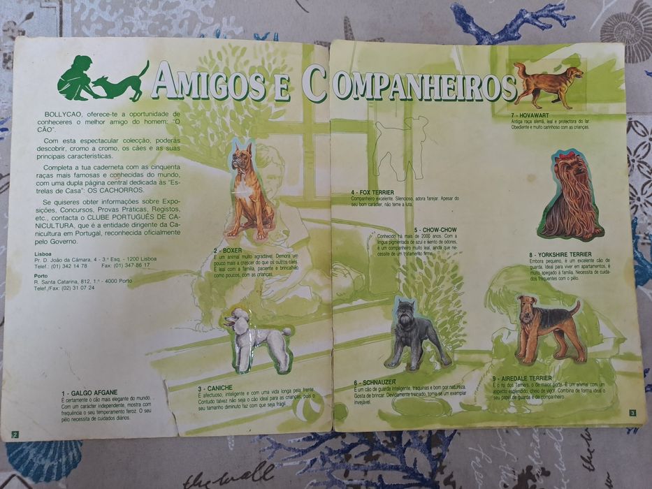 Cardeneta da bollycao - o teu melhor amigo 1°