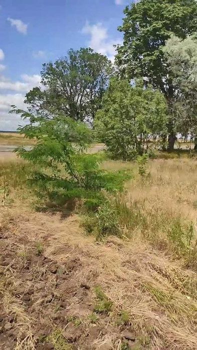 Продам землю 4.5 га в Межлиманьерядом с Одессой