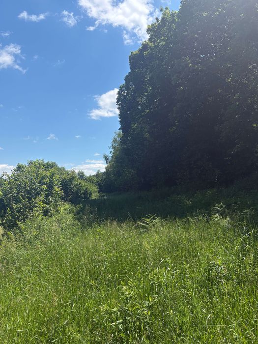 Działka budowlana 1302 m² – Grzechynia (gmina Maków Podhalański)