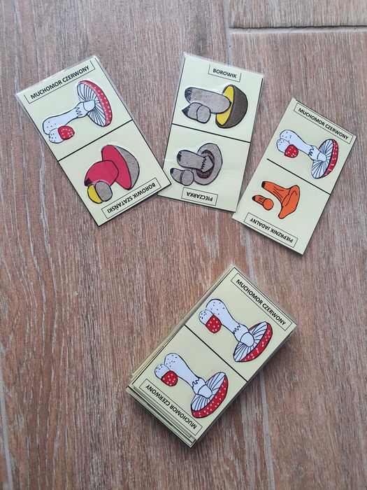 Domino - grzyby dla dzieci przedszkolnycj