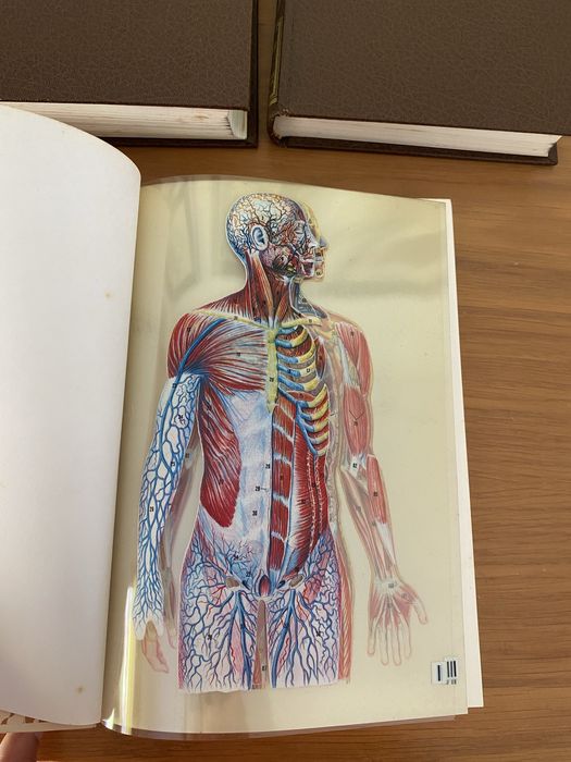 Conjunto de livros de medicina