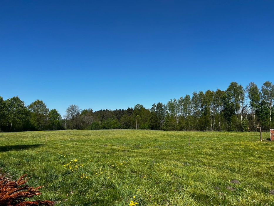 Działki z WZ - Miłkowo - Widok 2