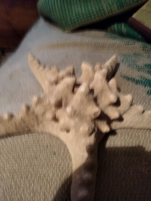 Продам фотоаппарат старый  синема в хорошем состоянии