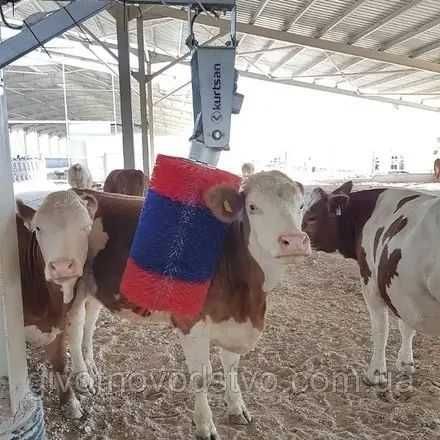 Чухалка Для Корів