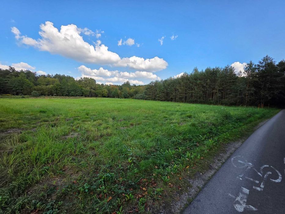 Atrakcyjna Działka Budowlana Las Winiarski