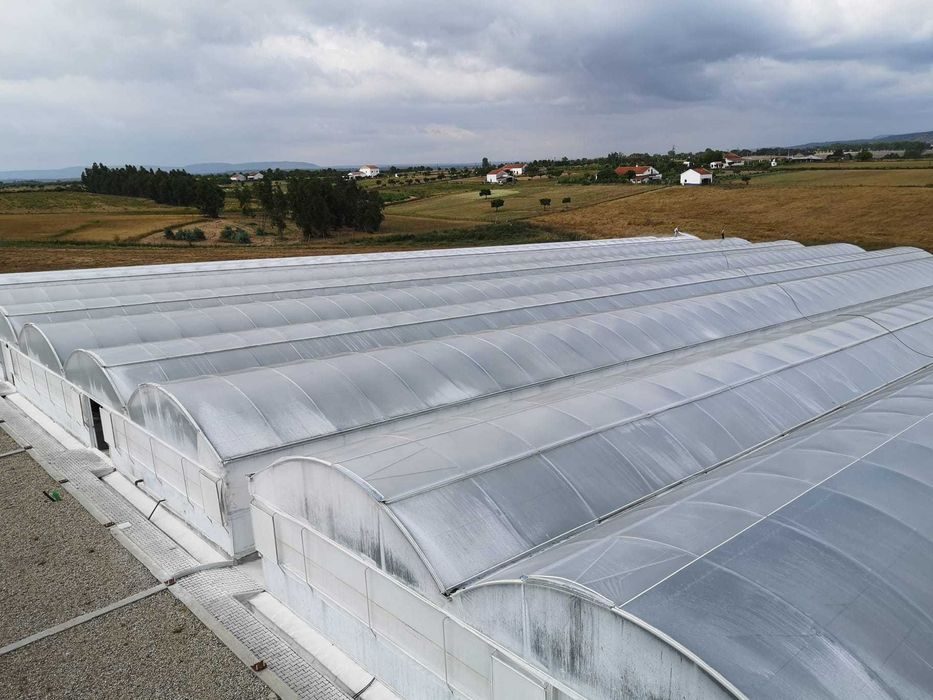 Propriedade em regadio 20 hectares para arrendar / Alugar