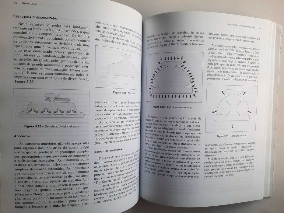 Gestão das Organizações