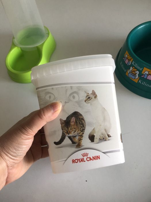 Caixa para racao gato