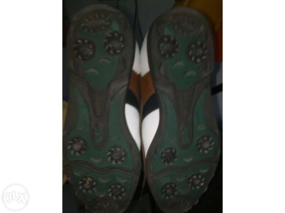 Sapatos Golf novos