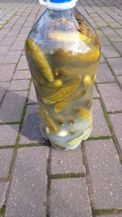Kiszone ogórki 5l.