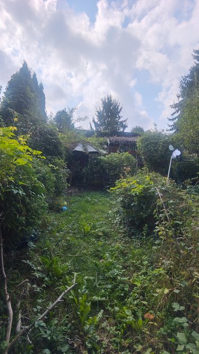 Ogródek działkowy ROD im. Tadeusza Kościuszki - Widok 3