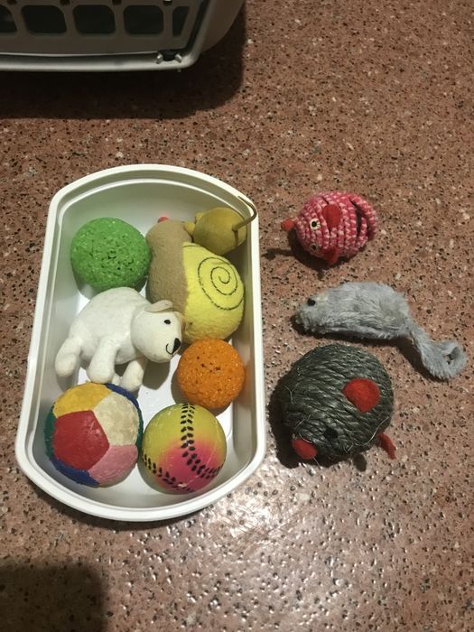 Переноска для кошек, собак