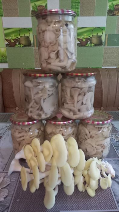 Маринована Глива (вешенка)