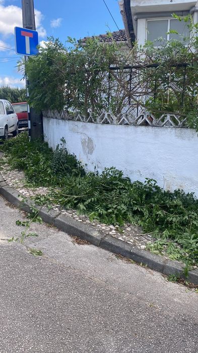 Jardinagem e manutenção