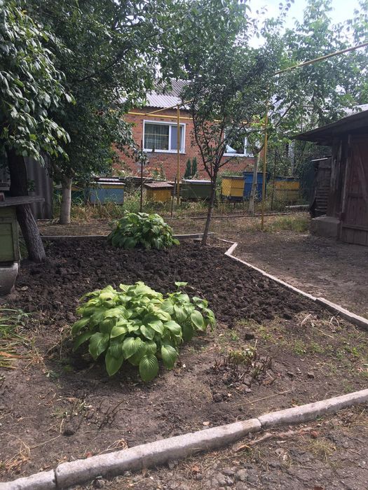 Продам дім квартиру