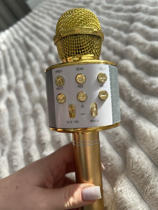 Мікрофон-колонка