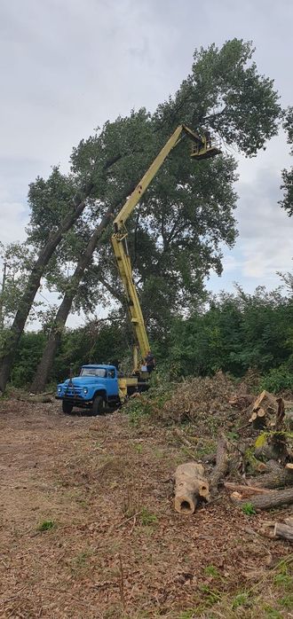 Автовишка АГП-22.04 на шасі ЗІЛ 431610